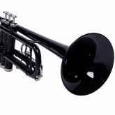 Ozici Nickel Plating Trumpet Gloves Set Black